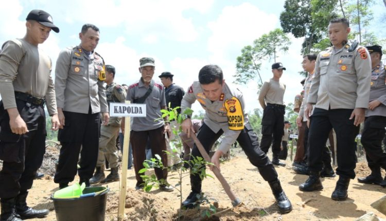 Lakukan Penanaman Pohon Di Hutan Tahura Senami Sts Kapolda