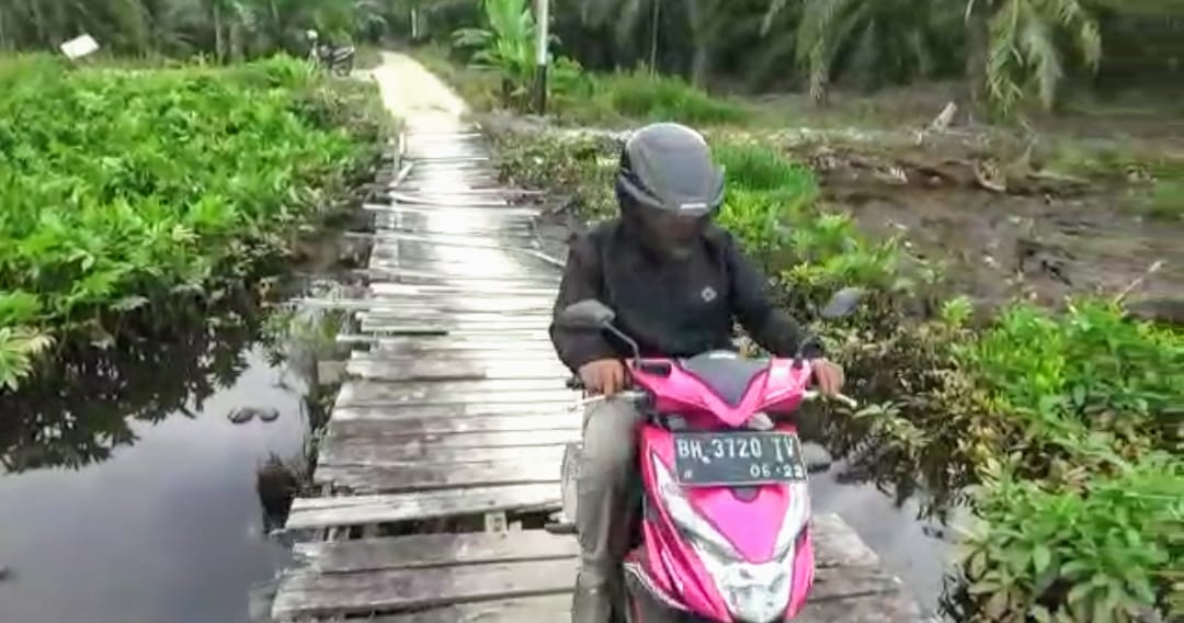 Jembatan Kayu di Desa Sinar Wajo Butuh Perhatian Pemerintah