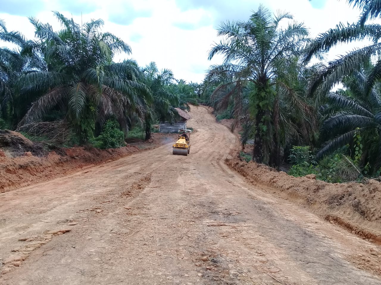 Pembukaan Jalan Capai 86,2 Persen, Dansatgas : Semua Akan Selesai Tepat Waktu