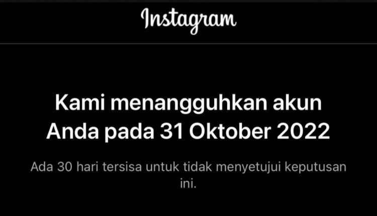 Akun Instagram Ditangguhkan Ini Cara Mengatasinya