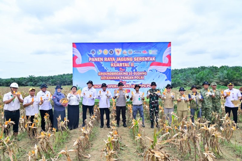 Panen Raya Jagung Serentak Kuartal II 2026 di Lahan PT Brahma Binabakti, Polda Jambi Dukung Program Ketahanan Pangan Nasional
