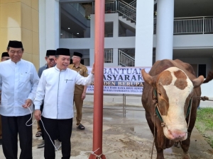 Gubernur Jambi Setahkan Hewan Qurban Presiden Prabowo ke Mesjid Islamic Center