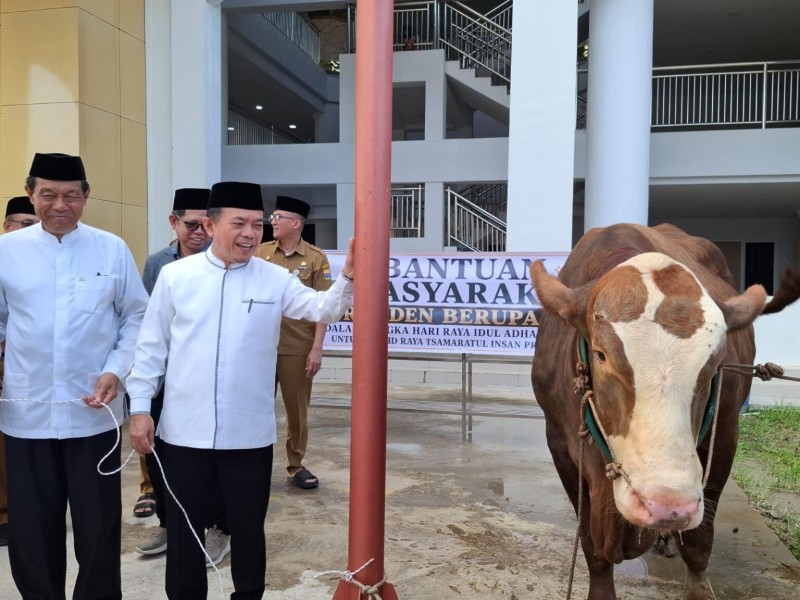 Gubernur Jambi Setahkan Hewan Qurban Presiden Prabowo ke Mesjid Islamic Center