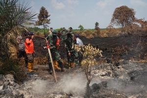 Karhutla di Lahan Gambut Desa Air Merah, Danrem 042/Gapu Terjun Langsung Padamkan Api