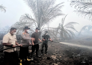 Karhutla di Area Plasma PT BKS Berhasil Dipadamkan, Bupati, Kapolres Sarolangun dan Dandim Sarko Turun Langsung Berjibaku Padamkan Api