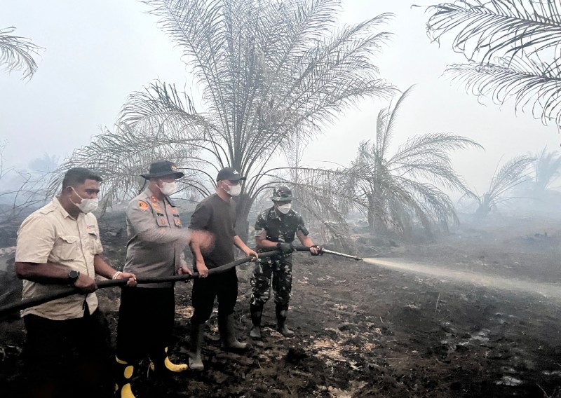 Karhutla di Area Plasma PT BKS Berhasil Dipadamkan, Bupati, Kapolres Sarolangun dan Dandim Sarko Turun Langsung Berjibaku Padamkan Api
