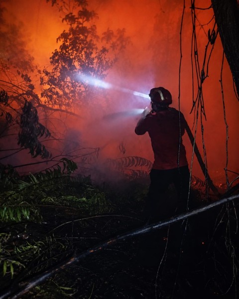 Penanganan Karhutla HLG Londerang, 142 Personel Gabungan dan Heli Water Bombing Perkuat Pemadaman