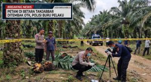 BREAKING NEWS: Petani di Betara Ditembak Orang Tak Dikenal, Polisi Buru Pelaku