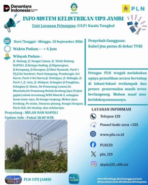 Kabel JTM Putus, PLN ULP Kuala Tungkal Gerak Cepat Tangani Pemadaman Listrik