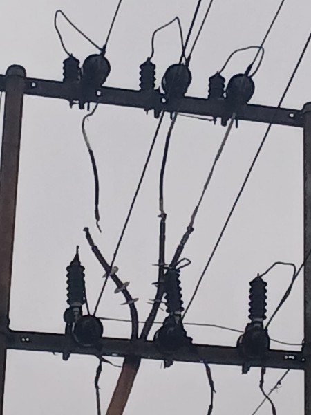Kabel Putus di PLTD Lama Picu Pemadaman, Manager PLN ULP Kuala Tungkal Pastikan Perbaikan Dikebut